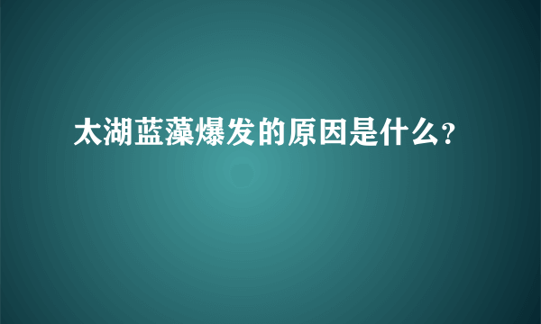 太湖蓝藻爆发的原因是什么？