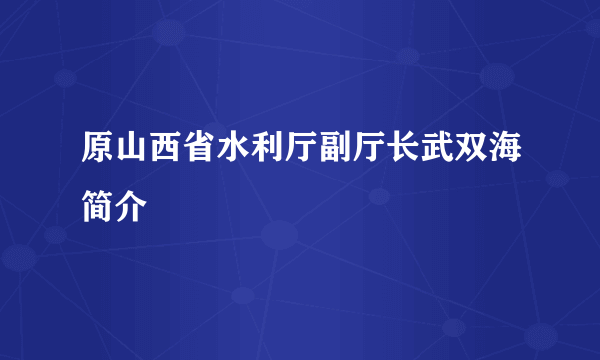 原山西省水利厅副厅长武双海简介