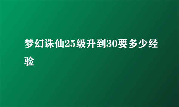 梦幻诛仙25级升到30要多少经验