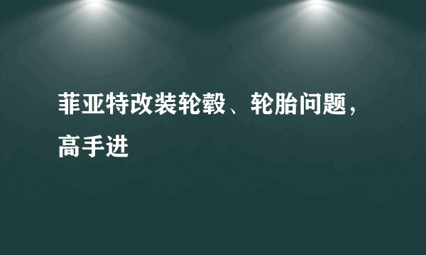 菲亚特改装轮毂、轮胎问题，高手进