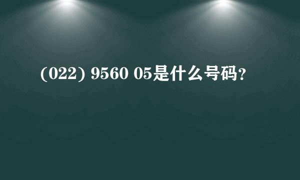 (022) 9560 05是什么号码？