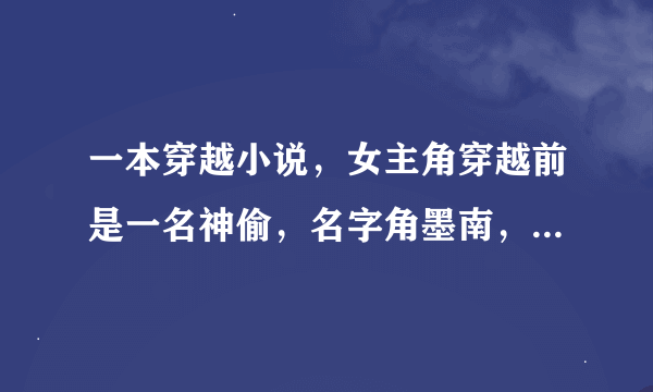 一本穿越小说，女主角穿越前是一名神偷，名字角墨南，小名南瓜