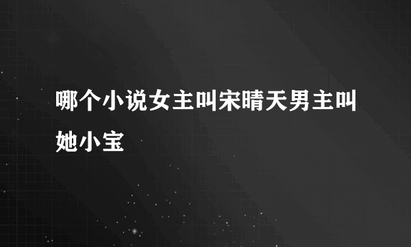 哪个小说女主叫宋晴天男主叫她小宝