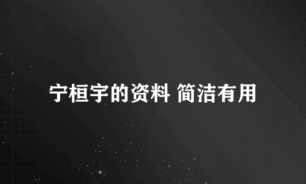 宁桓宇的资料 简洁有用