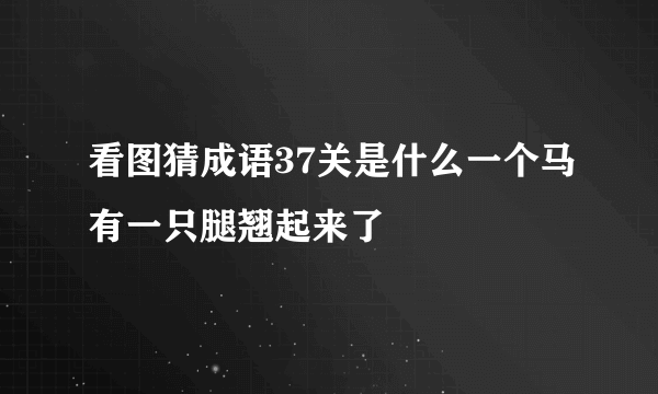 看图猜成语37关是什么一个马有一只腿翘起来了