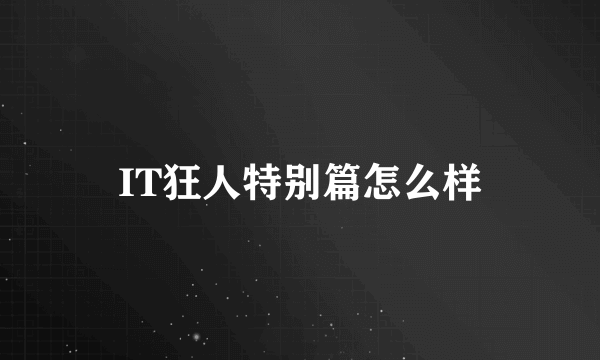 IT狂人特别篇怎么样