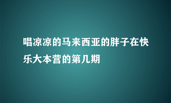 唱凉凉的马来西亚的胖子在快乐大本营的第几期