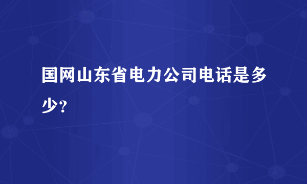 国网山东省电力公司电话是多少？