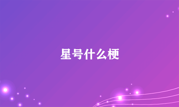 星号什么梗