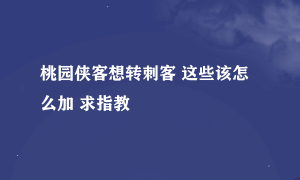 桃园侠客想转刺客 这些该怎么加 求指教