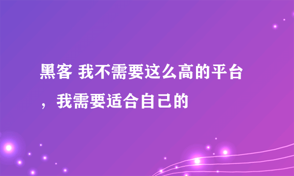 黑客 我不需要这么高的平台，我需要适合自己的