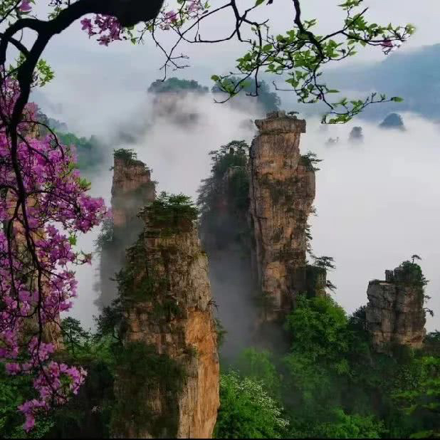 张家界旅游必去景点有哪些？