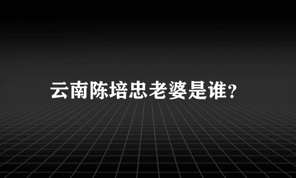 云南陈培忠老婆是谁？