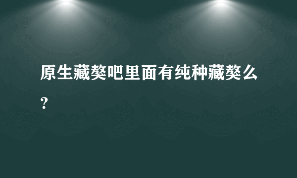 原生藏獒吧里面有纯种藏獒么？