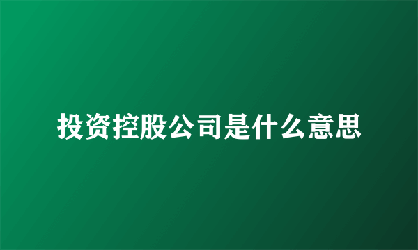 投资控股公司是什么意思