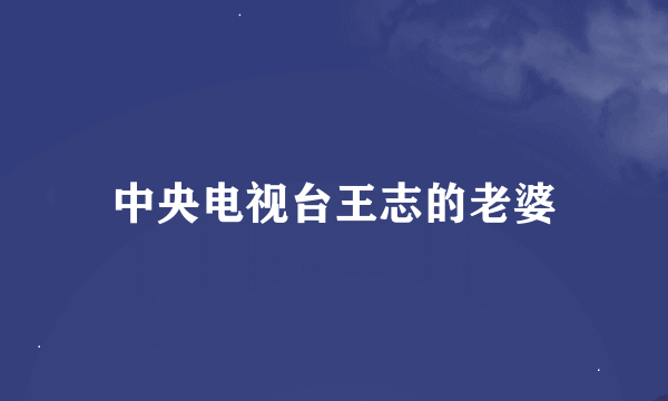 中央电视台王志的老婆