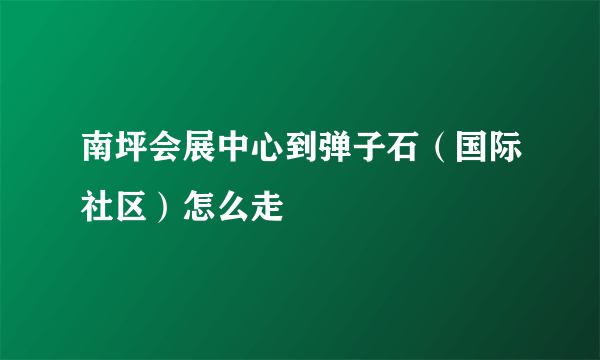 南坪会展中心到弹子石（国际社区）怎么走