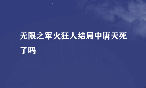 无限之军火狂人结局中唐天死了吗