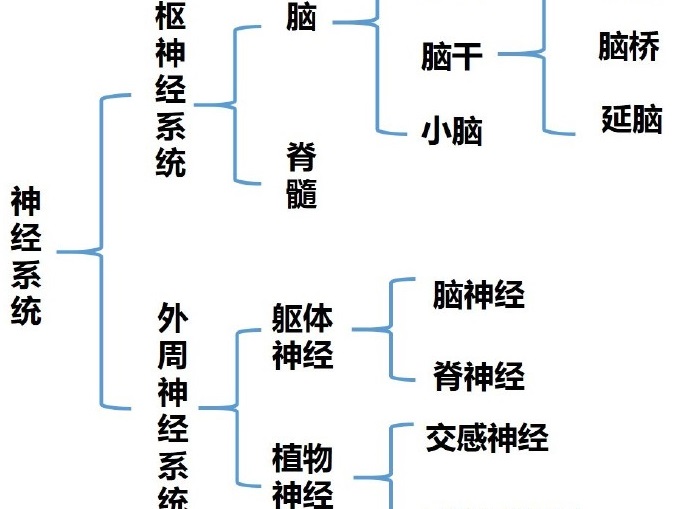 心理学上把喜欢和爱是怎么定义的？