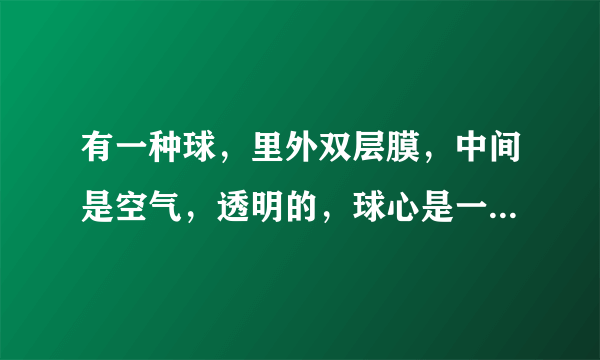 有一种球，里外双层膜，中间是空气，透明的，球心是一个可以供人待的空间，然后人钻进去，顺着山坡往下滚