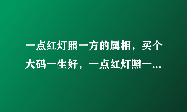 一点红灯照一方的属相，买个大码一生好，一点红灯照一方猜生肖