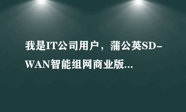 我是IT公司用户，蒲公英SD-WAN智能组网商业版、旗舰版、铂金版应该如何选择？