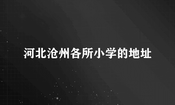 河北沧州各所小学的地址