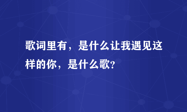 歌词里有，是什么让我遇见这样的你，是什么歌？