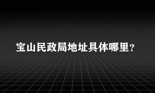 宝山民政局地址具体哪里？