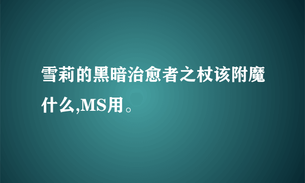 雪莉的黑暗治愈者之杖该附魔什么,MS用。