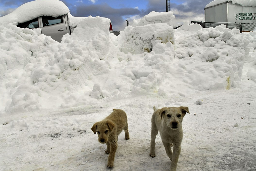 意大利地震引雪崩严重吗？