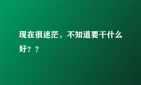 现在很迷茫，不知道要干什么好？？