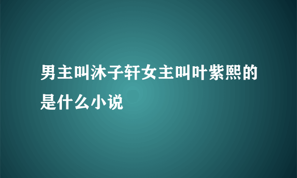 男主叫沐子轩女主叫叶紫熙的是什么小说