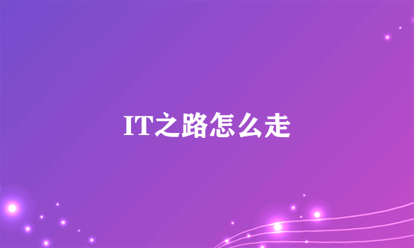 IT之路怎么走