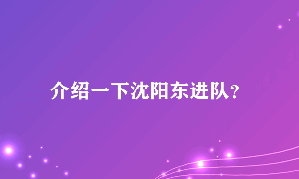 介绍一下沈阳东进队？