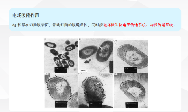 银离子抗菌剂的原理是什么？