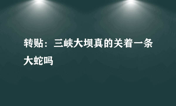 转贴：三峡大坝真的关着一条大蛇吗