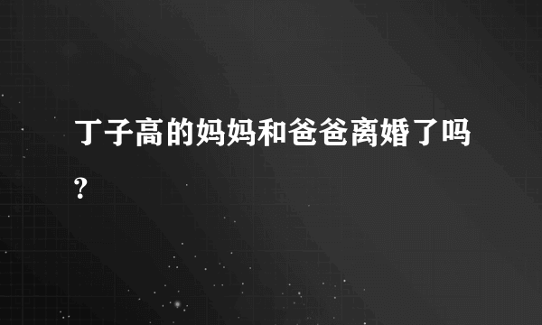 丁子高的妈妈和爸爸离婚了吗？