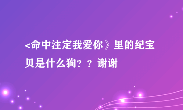 <命中注定我爱你》里的纪宝贝是什么狗？？谢谢