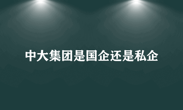 中大集团是国企还是私企