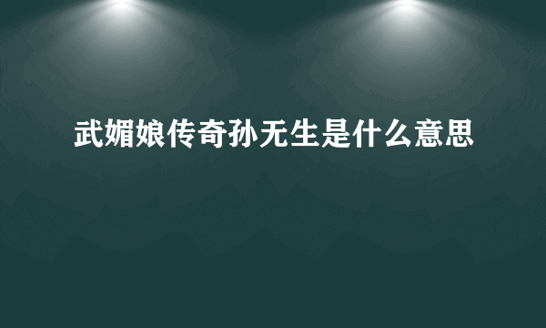 武媚娘传奇孙无生是什么意思