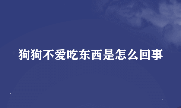 狗狗不爱吃东西是怎么回事