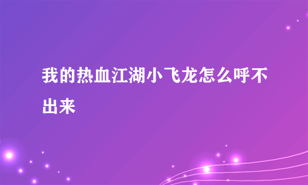 我的热血江湖小飞龙怎么呼不出来