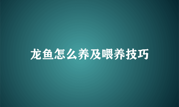 龙鱼怎么养及喂养技巧