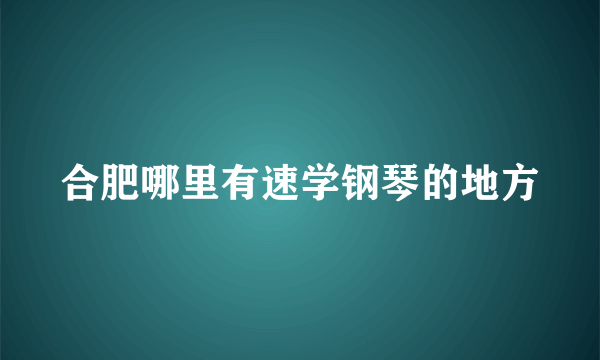 合肥哪里有速学钢琴的地方