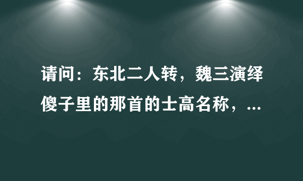 请问：东北二人转，魏三演绎傻子里的那首的士高名称，谢过...