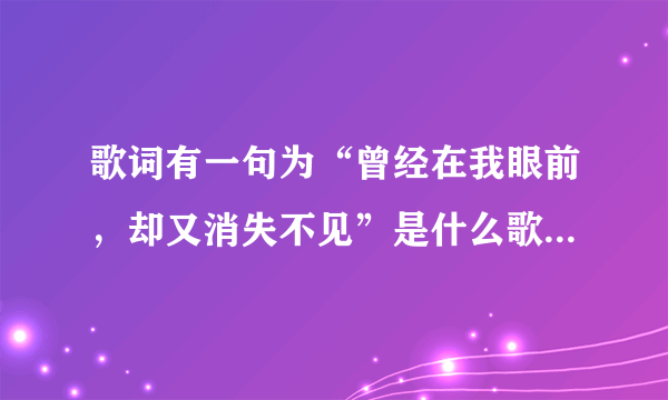 歌词有一句为“曾经在我眼前，却又消失不见”是什么歌，谁唱的？