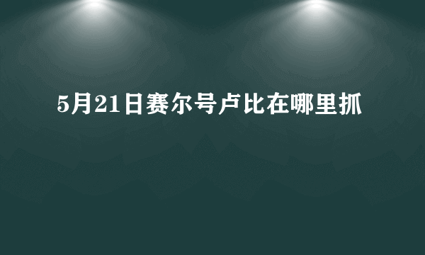 5月21日赛尔号卢比在哪里抓