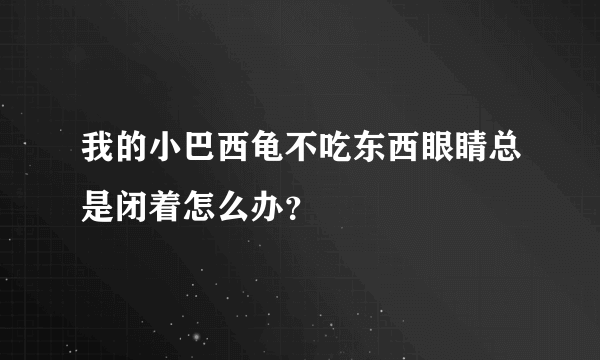 我的小巴西龟不吃东西眼睛总是闭着怎么办？