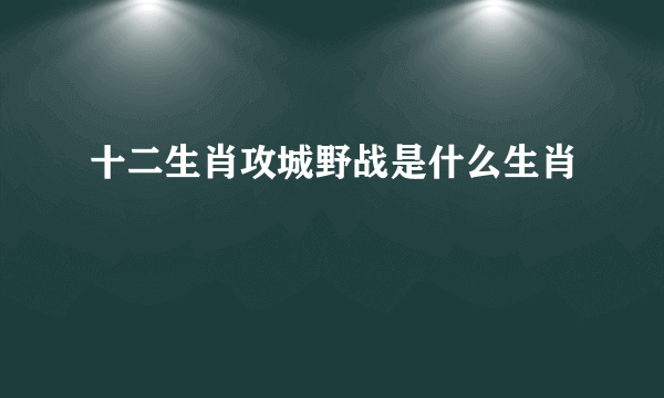 十二生肖攻城野战是什么生肖